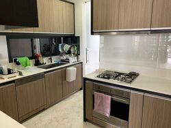 The Trizon (D10), Condominium #467800871